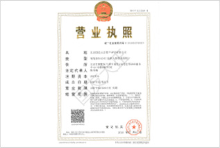 Business License